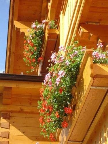 Outdoor Pictures 18