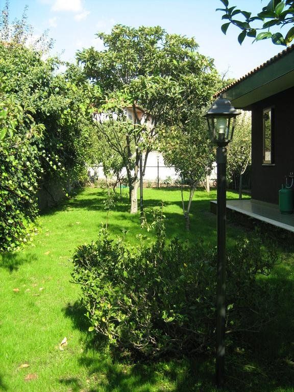 Outdoor Pictures 19