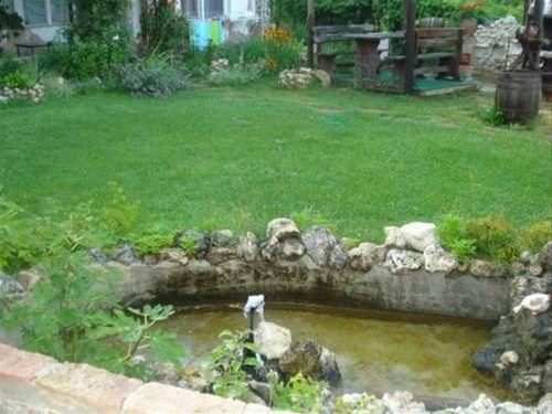 Outdoor Pictures 22