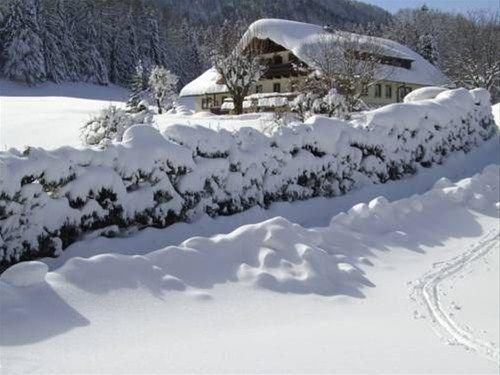 Outdoor Pictures 24