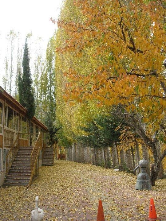 Outdoor Pictures 12