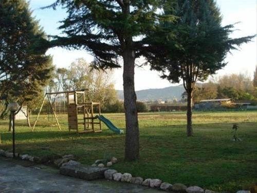 Outdoor Pictures 13