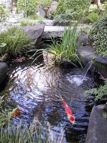 Outdoor Pictures 21
