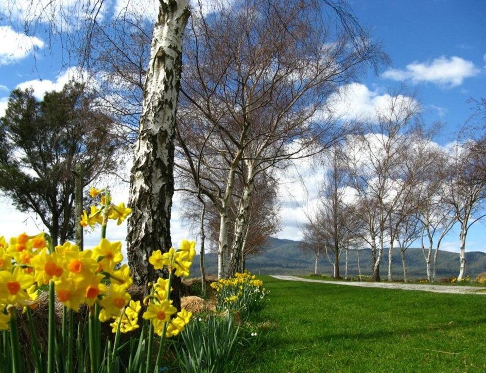 Outdoor Pictures 7