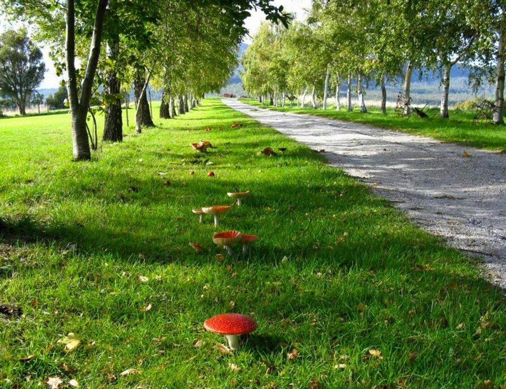 Outdoor Pictures 9