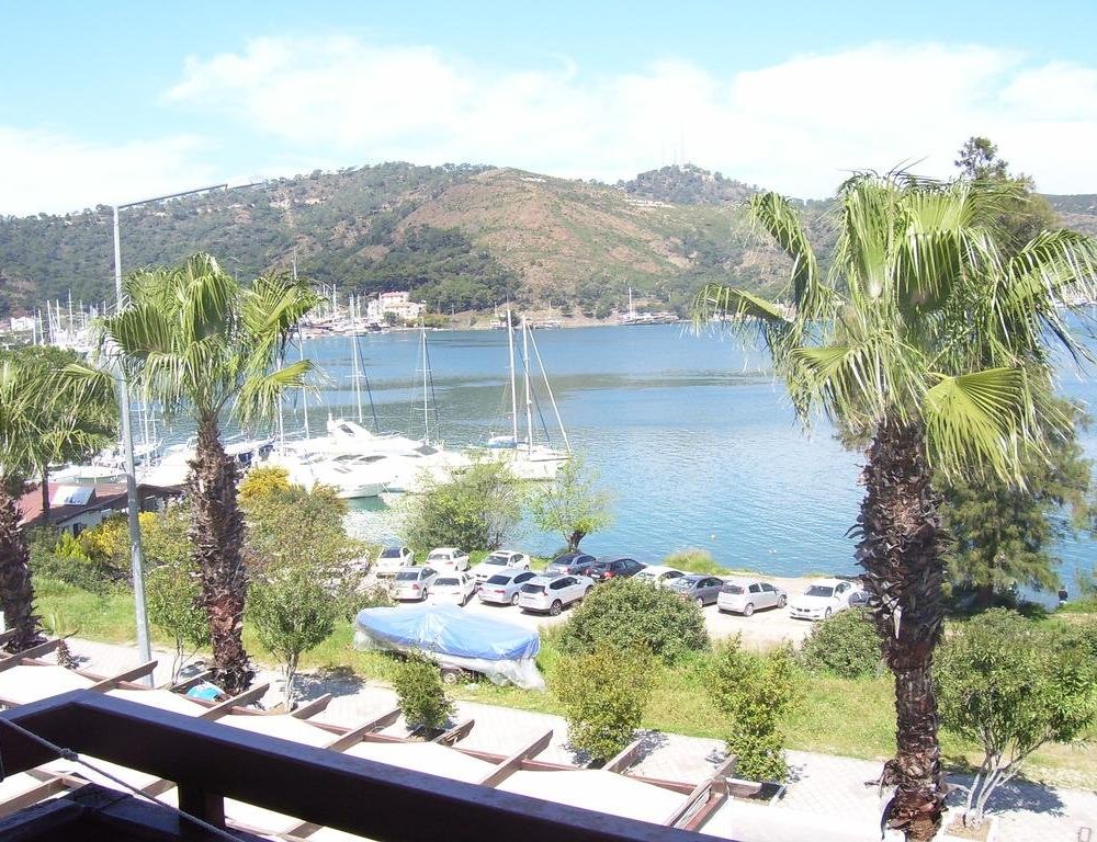 Outdoor Pictures 1