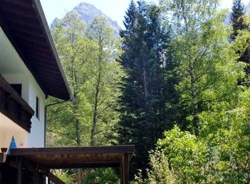 Outdoor Pictures 21