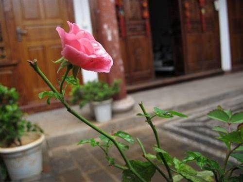 Outdoor Pictures 21