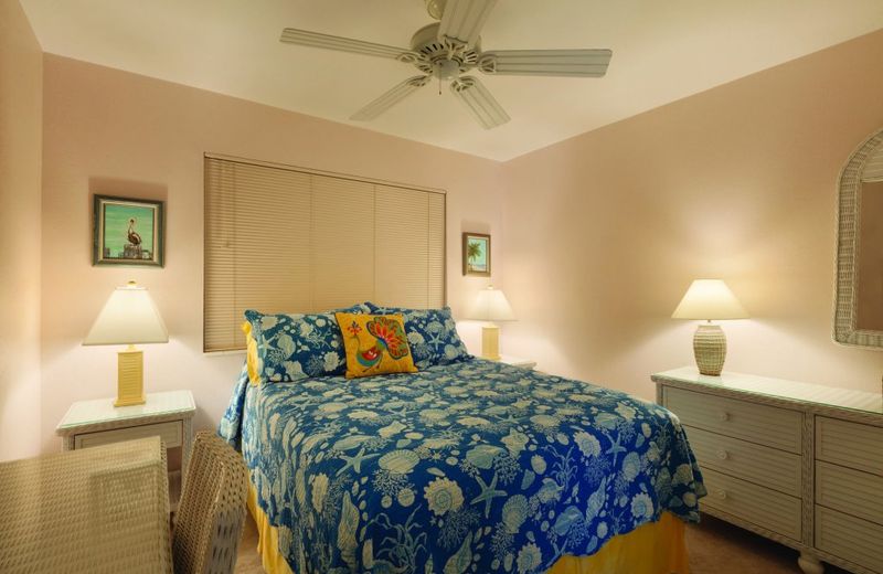 1758 Palm Point by RedAwning