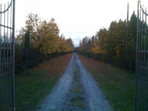 Outdoor Pictures 16