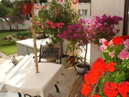 Outdoor Pictures 21