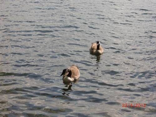 Outdoor Pictures 18