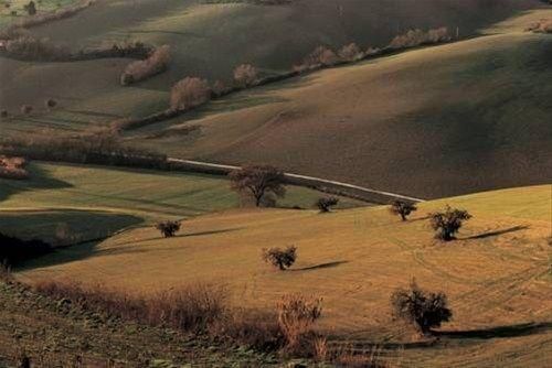 Outdoor Pictures 15
