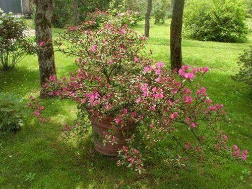 Outdoor Pictures 10
