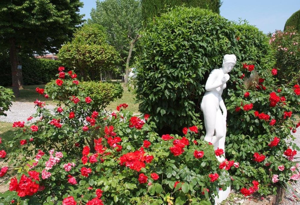 Outdoor Pictures 20