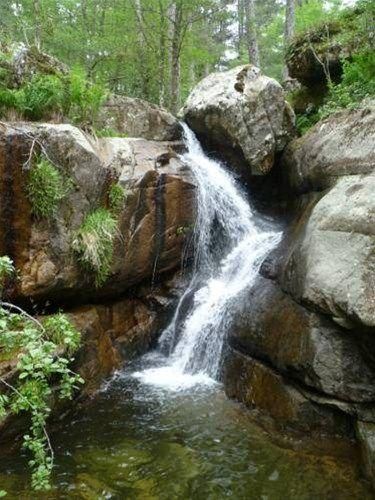 Outdoor Pictures 22