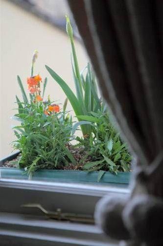 Outdoor Pictures 23