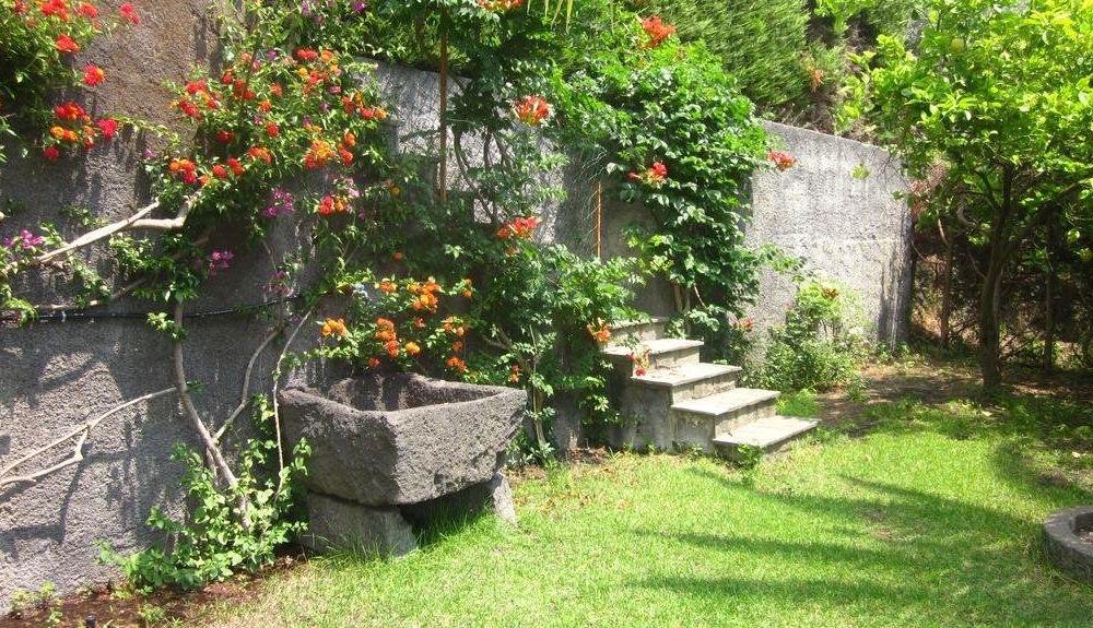 Outdoor Pictures 19