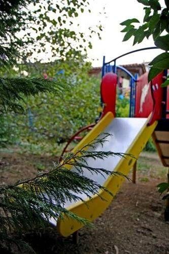Outdoor Pictures 20