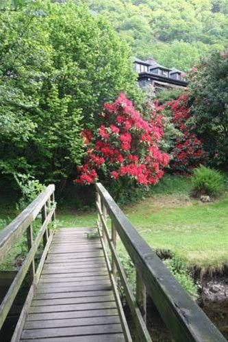 Outdoor Pictures 18