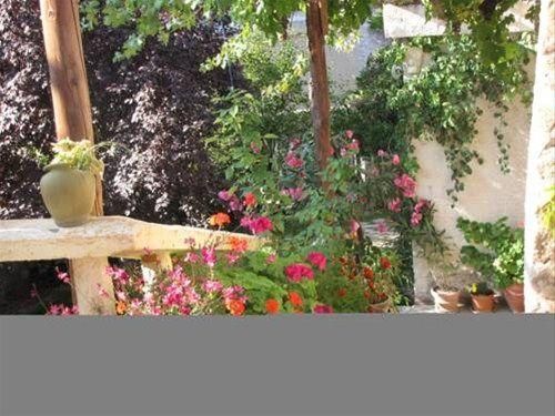 Outdoor Pictures 15