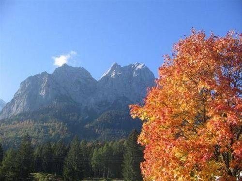 Outdoor Pictures 21
