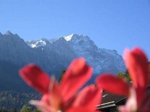 Outdoor Pictures 22