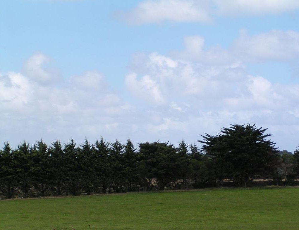 Outdoor Pictures 19