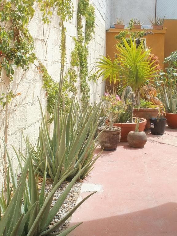 Outdoor Pictures 18