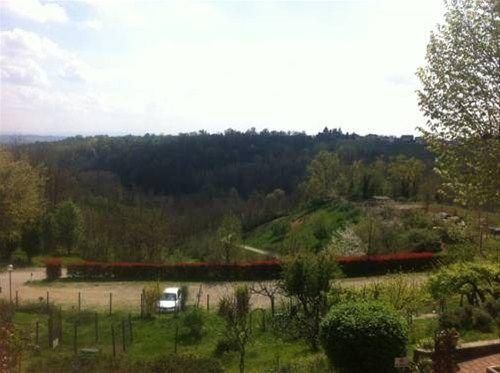 Outdoor Pictures 19
