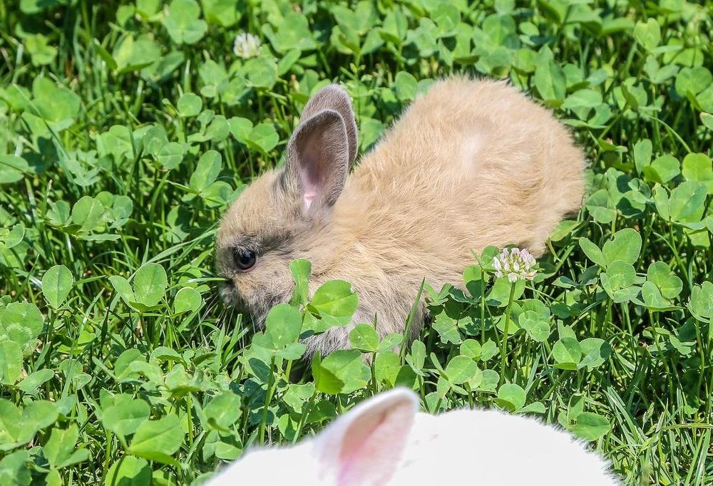 Outdoor Pictures 17