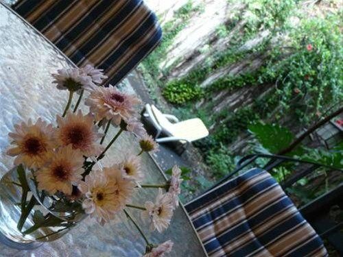 Outdoor Pictures 10