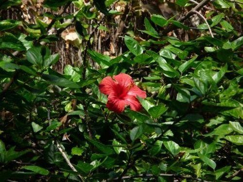 Outdoor Pictures 11