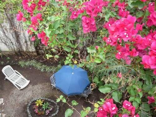 Outdoor Pictures 12