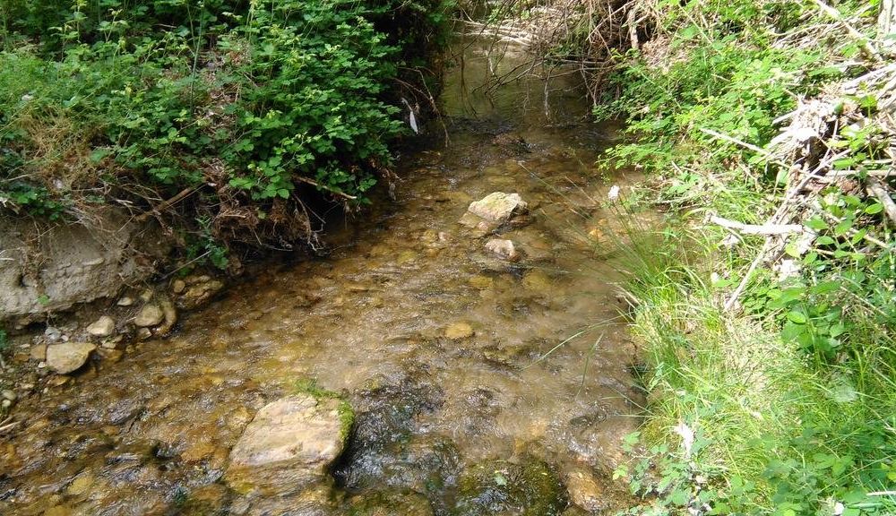 Outdoor Pictures 10