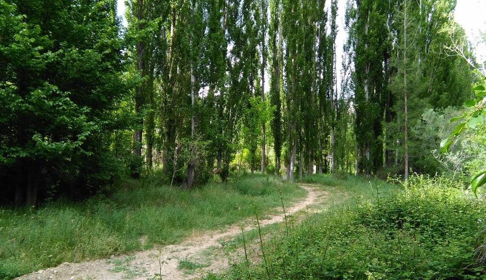 Outdoor Pictures 11