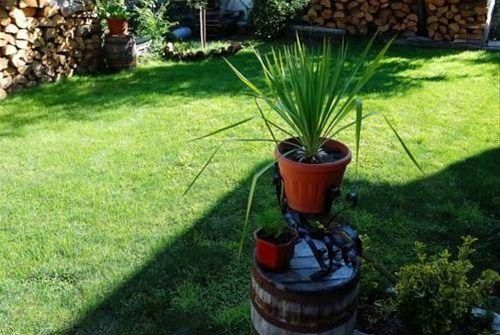 Outdoor Pictures 21