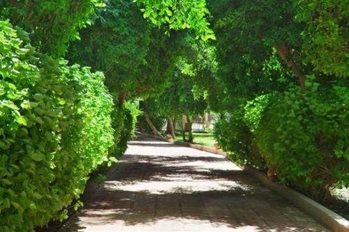 Outdoor Pictures 11