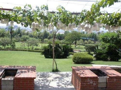 Outdoor Pictures 8