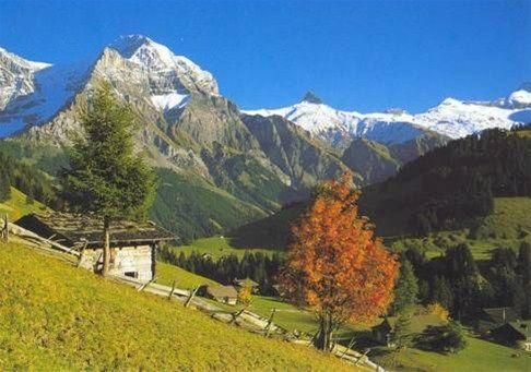 Outdoor Pictures 22