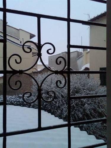 Outdoor Pictures 9