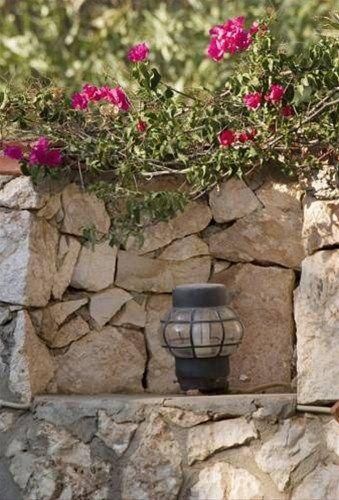Outdoor Pictures 21