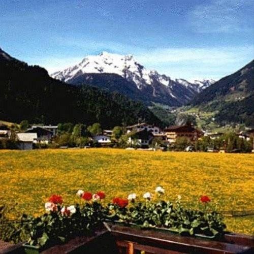 Outdoor Pictures 21