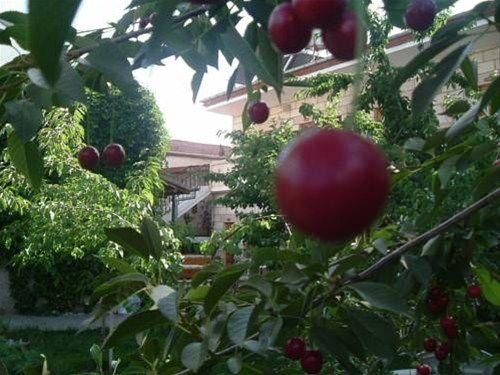 Outdoor Pictures 21