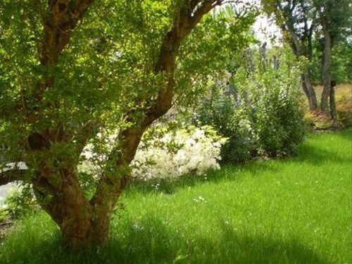 Outdoor Pictures 14