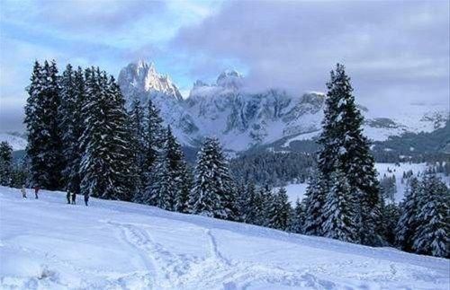 Outdoor Pictures 24