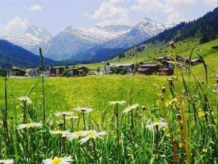Outdoor Pictures 15