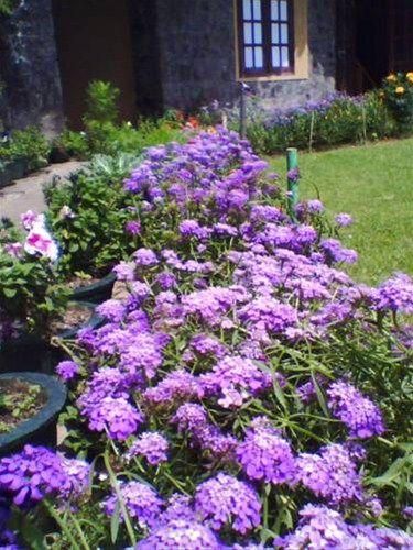 Outdoor Pictures 18