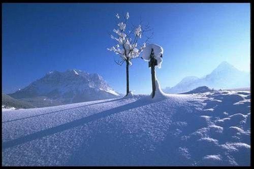 Outdoor Pictures 20