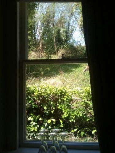Outdoor Pictures 1